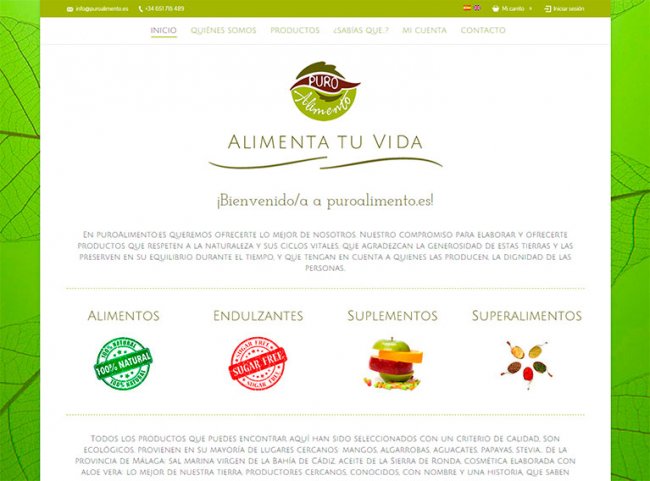 Tienda Online, Página principal